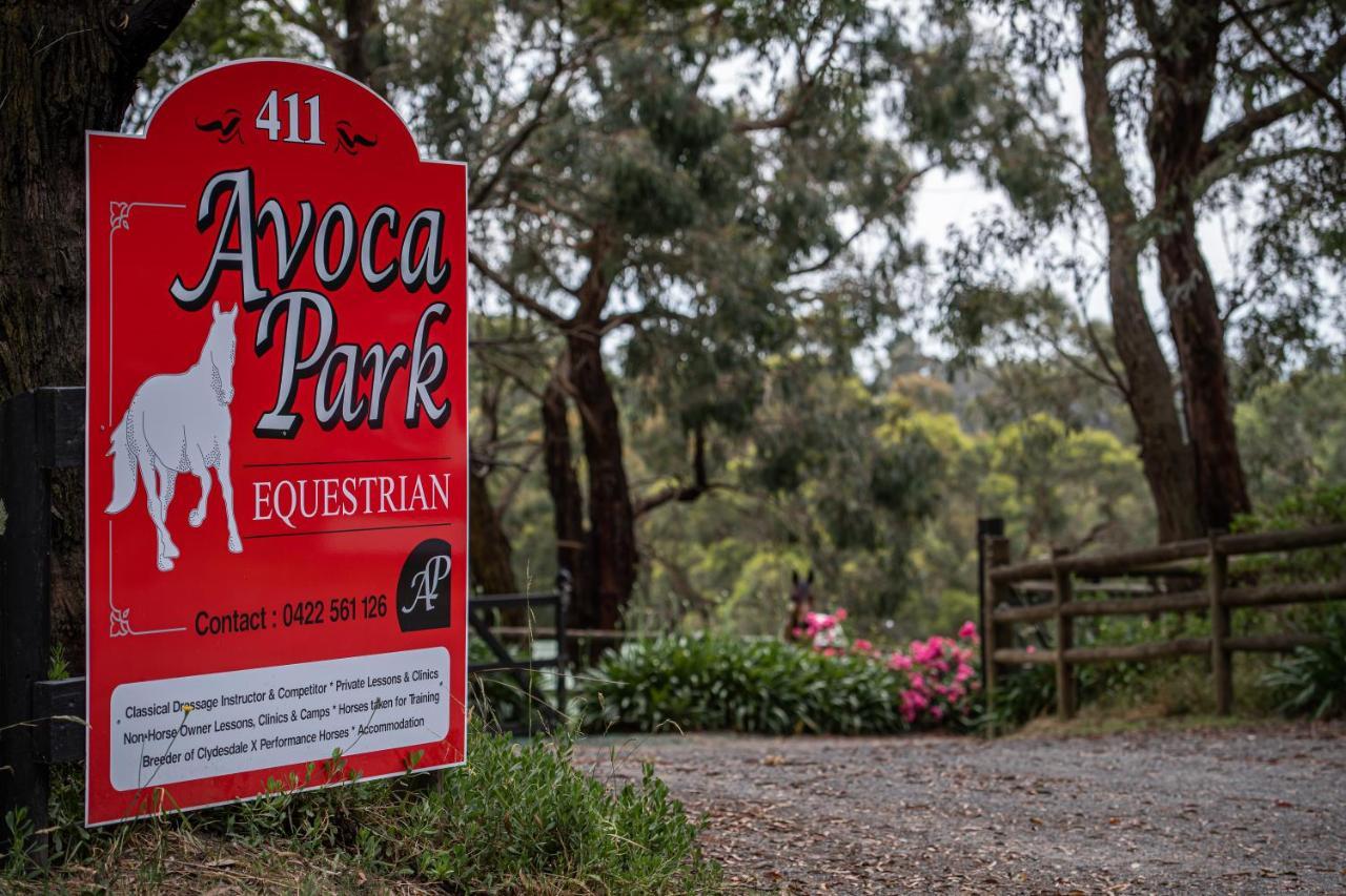 Avoca Park Equestrian Farmstay Macclesfield Exterior photo