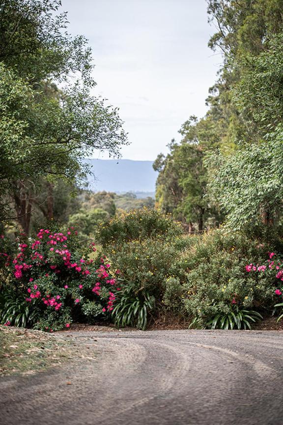 Avoca Park Equestrian Farmstay Macclesfield Exterior photo