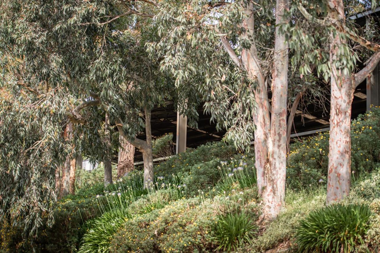 Avoca Park Equestrian Farmstay Macclesfield Exterior photo