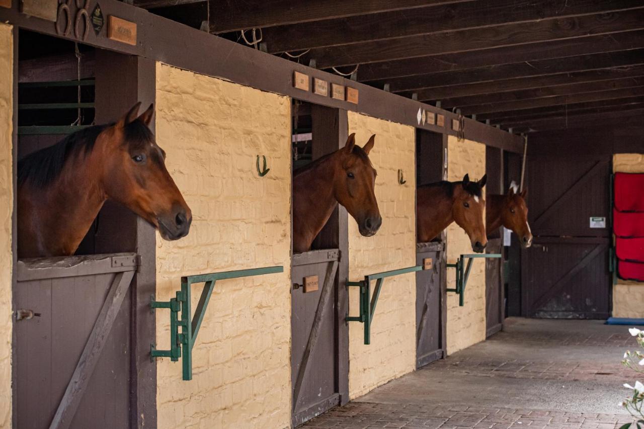 Avoca Park Equestrian Farmstay Macclesfield Exterior photo