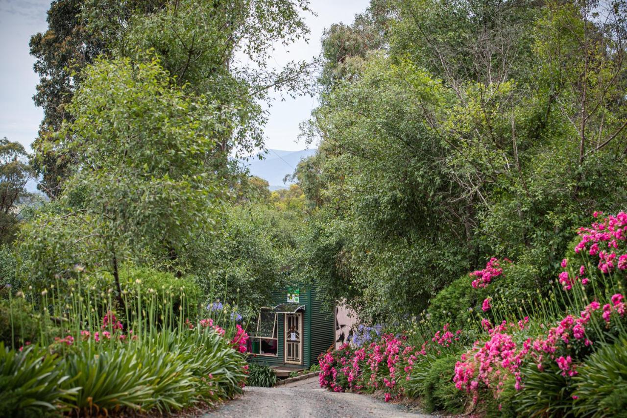 Avoca Park Equestrian Farmstay Macclesfield Exterior photo