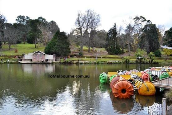 Avoca Park Equestrian Farmstay Macclesfield Exterior photo