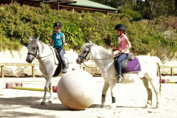 Avoca Park Equestrian Farmstay Macclesfield Exterior photo