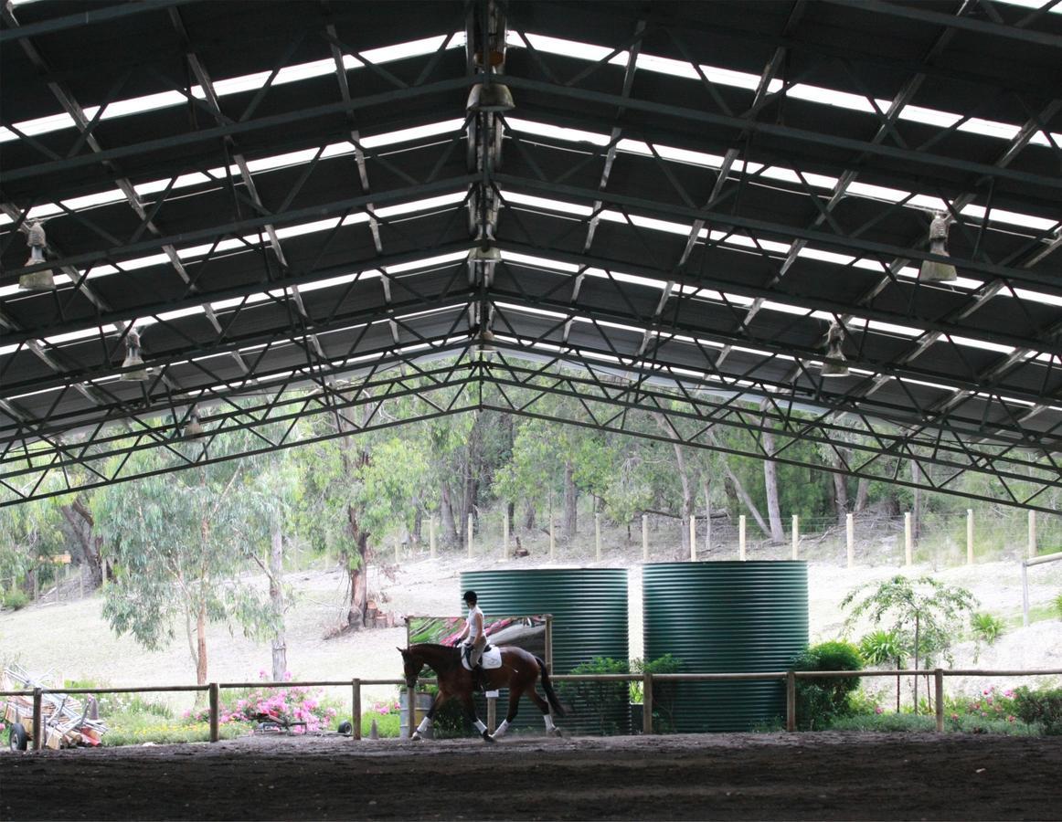 Avoca Park Equestrian Farmstay Macclesfield Exterior photo