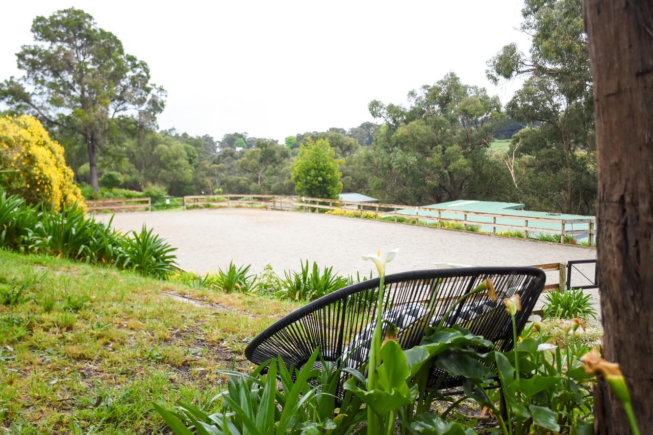 Avoca Park Equestrian Farmstay Macclesfield Exterior photo